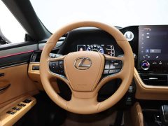 Lexus ES 200 Premium Edition - ფოტო 12
