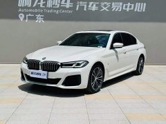 BMW 5 Series Facelift 530Li xDrive M Sport Package - ფოტო 15