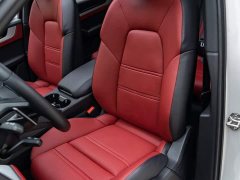 Porsche 2024 Cayenne 3.0T - ფოტო 11