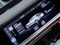 Porsche Panamera 2.9T - ფოტო 20