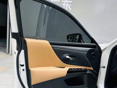 Lexus ES 2021 300h Excellence - photo 20