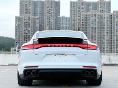 Porsche Panamera Executive Extended Wheelbase 2.9T - ფოტო 11