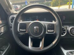 Tank 300 2021 Off-Road Edition 2.0T Conqueror - ფოტო 14