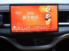 Denza BYD Denza D9 2024 DM-i 980 Four-Wheel Drive Premium - ფოტო 10
