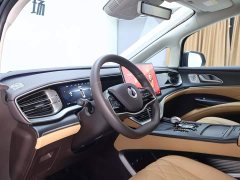Denza BYD Denza D9 2024 DM-i 980 Four-Wheel Drive Premium - ფოტო 11