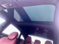 Luxeed Zhiji S7 2024 Pro Rear-Wheel Drive Long-Range Edition - ფოტო 18