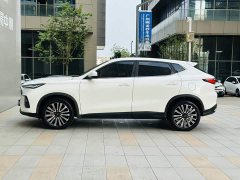Changan Oushan X5 1.5T DCT Luxury - ფოტო 4