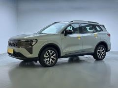 Ford Lingrui EcoBoost 170 Zunjun Plus - ფოტო 1