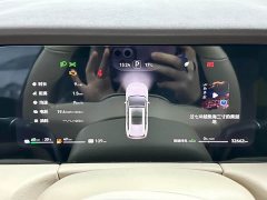 AITO M7 1.5T Intelligent Driving RWD Max 5-Seater - ფოტო 12