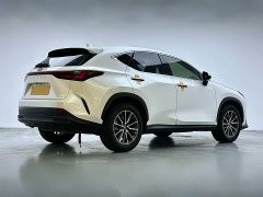 Lexus NX 2023 260 FWD Creative Edition - ფოტო 4