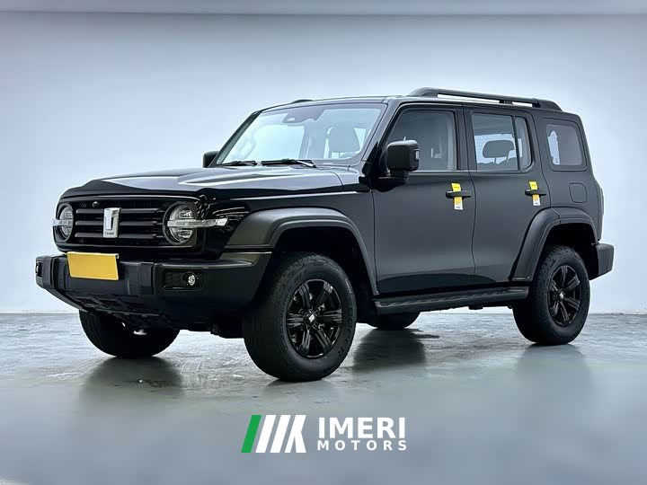 Tank 300 Off-Road Edition 2.0T Conqueror - ავტომობილი ჩინეთიდან