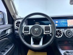 Tank 300 Off-Road Edition 2.0T Conqueror - ფოტო 14