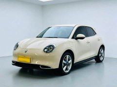 ORA Good Cat 401km Standard Range Luxury LFP - ფოტო 1