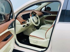 ORA Good Cat 401km Standard Range Luxury LFP - ფოტო 12