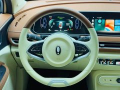 ORA Good Cat 401km Standard Range Luxury LFP - ფოტო 13
