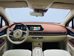 ORA Good Cat 401km Standard Range Luxury LFP - ფოტო 15