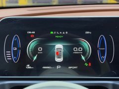 ORA Good Cat 401km Standard Range Luxury LFP - ფოტო 17
