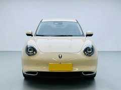 ORA Good Cat 401km Standard Range Luxury LFP - ფოტო 2