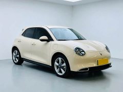 ORA Good Cat 401km Standard Range Luxury LFP - ფოტო 3