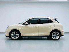 ORA Good Cat 401km Standard Range Luxury LFP - ფოტო 9