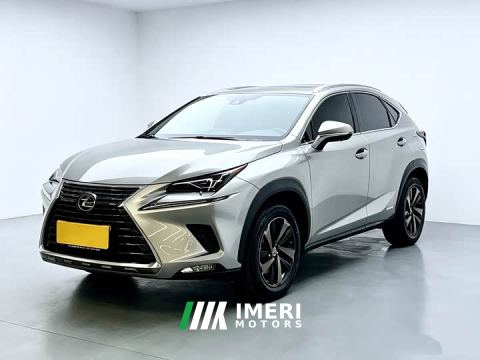 2021 Lexus NX 300h FWD Prestige National V - car from China