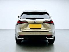 Lexus NX 2020 300h FWD Prestige National V - ფოტო 5