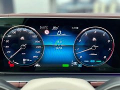 Mercedes-Benz Maybach GLS 600 4MATIC Prestige Edition - ფოტო 18
