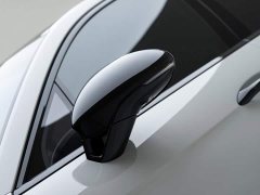 Porsche Panamera Facelift Panamera 2.9T Platinum Edition - ფოტო 8