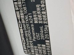 Porsche Panamera 2.9T - ფოტო 18