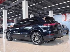 Porsche 2022 Cayenne 3.0T Platinum Edition - ფოტო 10