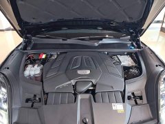 Porsche 2022 Cayenne 3.0T Platinum Edition - ფოტო 15