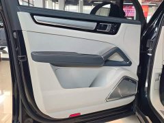 Porsche 2022 Cayenne 3.0T Platinum Edition - ფოტო 18