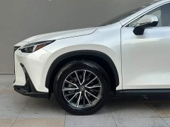 Lexus NX 2024 260 FWD Creative Edition - ფოტო 5
