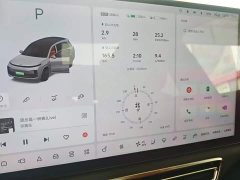 Li Auto L8 Pro - ფოტო 8