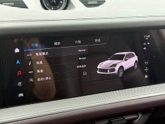 Porsche 2024 Cayenne 3.0T - ფოტო 15