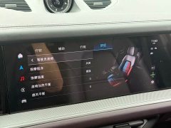 Porsche 2024 Cayenne 3.0T - ფოტო 16