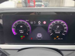 Volkswagen Passat Pro 380TSI Dragon Premium Edition - ფოტო 4