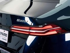 BMW 5 Series 530Li Luxury M Sport Package - ფოტო 8