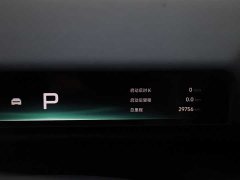 XPeng P7 820 Extended Range Ultra - ფოტო 15