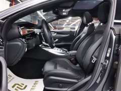 Mercedes-Benz AMG GT AMG GT 50 4MATIC Four-Door Coupe - ფოტო 10