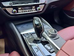 BMW 5 Series 530Li Luxury M Sport Package - ფოტო 15