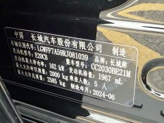 Tank 300 2.0T Conqueror - ფოტო 17