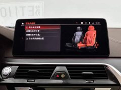 BMW 5 Series 530Li Luxury M Sport Package - ფოტო 13