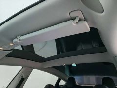 Tesla Model 3 Performance All-Wheel Drive - ფოტო 14