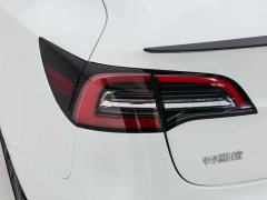 Tesla Model 3 Performance All-Wheel Drive - ფოტო 17