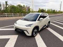 BYD Seagull 2023 Vitality Edition - ფოტო 1