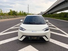 BYD Seagull 2023 Vitality Edition - ფოტო 2