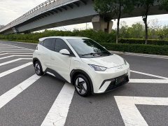 BYD Seagull 2023 Vitality Edition - ფოტო 3