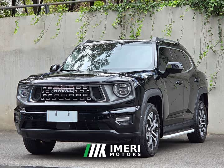 Haval Big Dog PLUS 2.0T Two-Wheel Drive Trendy Wilderness Edition - ავტომობილი ჩინეთიდან