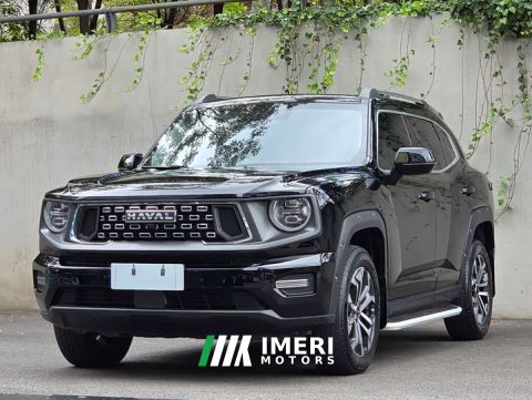 2023 Haval Big Dog PLUS 2.0T Two-Wheel Drive Trendy Wilderness Edition - ავტომობილი ჩინეთიდან